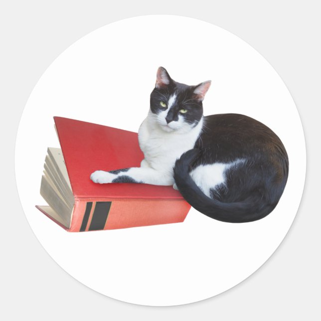 Redonda Pegatina de gato con libro (Anverso)