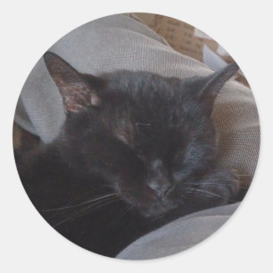 Redonda Pegatina de gato durmiendo