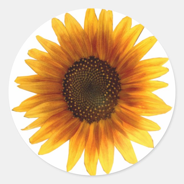 Redonda Pegatina de girasol (Anverso)
