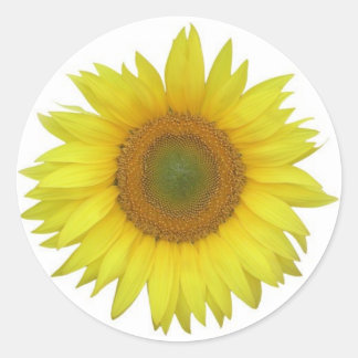 Redonda Pegatina de girasol