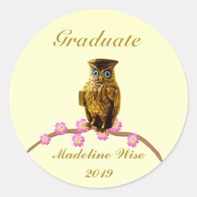 Redonda Pegatina de graduado de búho dorado (Anverso)