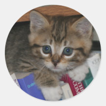 Pegatina de gusanos de libros