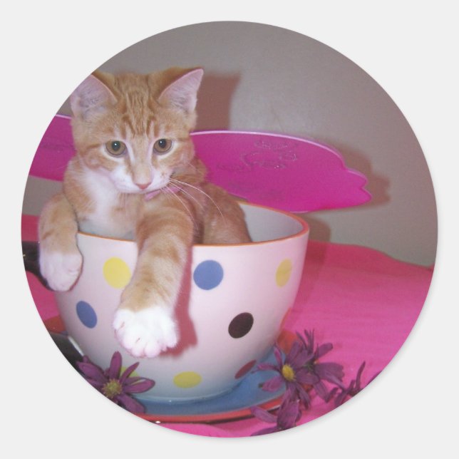 Redonda Pegatina de hadas (Anverso)