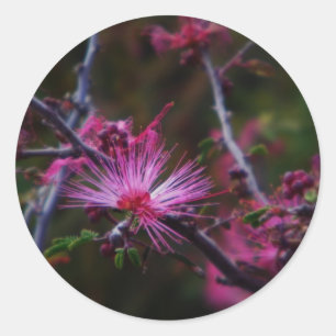 Redonda pegatina de hadas rosadas