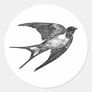 Redonda pegatina de halcón en el fondo blanco