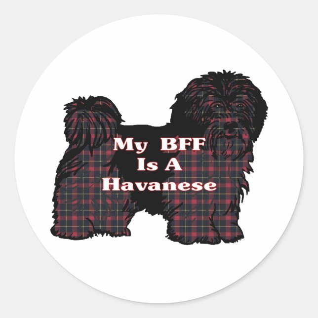 Redonda Pegatina de Havanese BFF (Anverso)