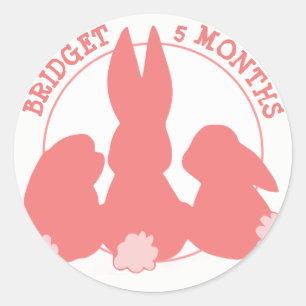 Redonda Pegatina de hitos mensuales de cute Bunnies
