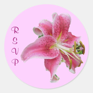 Redonda Pegatina de invitación de Lirio Rosa RSVP
