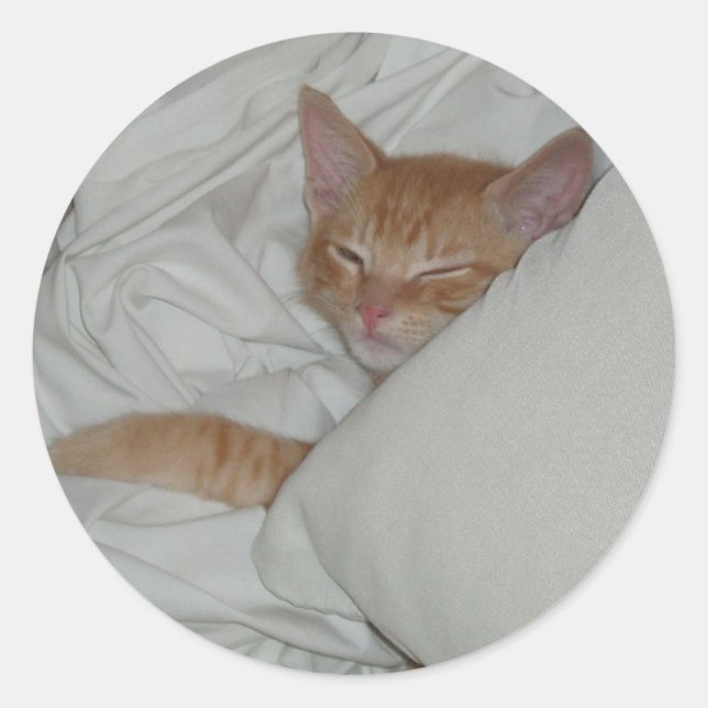 Redonda Pegatina de Kitten Dax Dreams (Anverso)