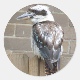 Redonda Pegatina de Kookaburra