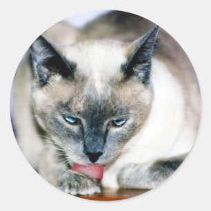 Redonda Pegatina de la armonía del baño 4