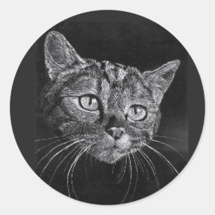 Redonda Pegatina de la cara del gato