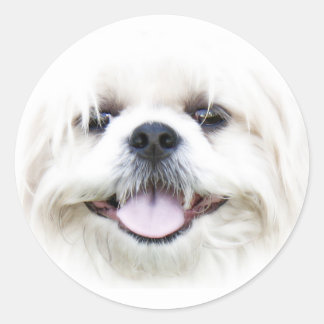 Redonda Pegatina de la cara del perro feliz