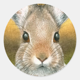 Redonda pegatina de la liebre 18