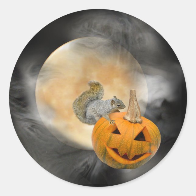 Redonda Pegatina de la luna de ardilla Jack-o-Lantern (Anverso)