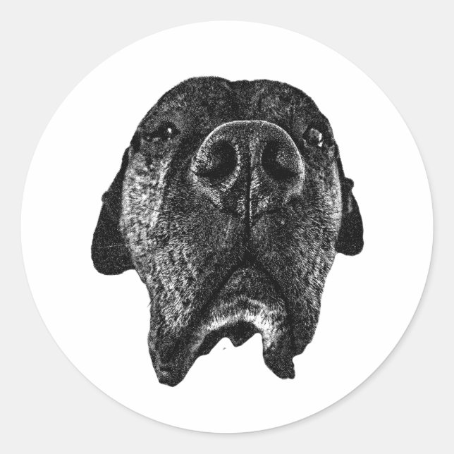 Redonda Pegatina de la nariz de Cane Corso | Arte de perro (Anverso)