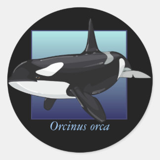Redonda Pegatina de la orca