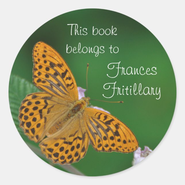 Redonda pegatina de la placa de la mariposa del naranja (Anverso)