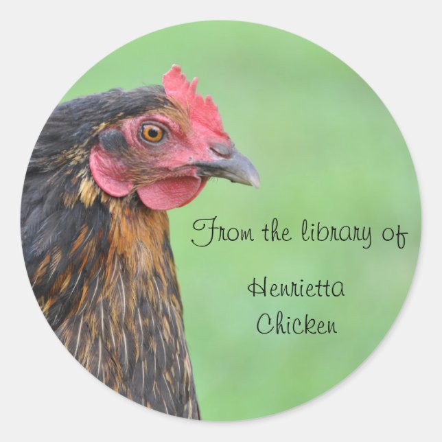 Redonda Pegatina de la plancha de pollo negra (Anverso)