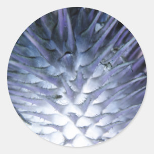 Redonda Pegatina de la Princesa de Hielo de Grass