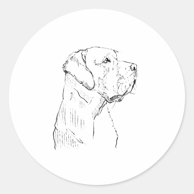 Redonda Pegatina de Labrador Retriever (Anverso)
