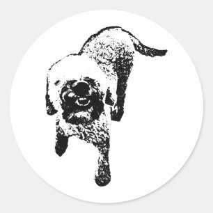 Redonda Pegatina de Lagotto Romagnolo – Perro de Tinta de