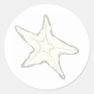 Redonda Pegatina de las estrellas de mar