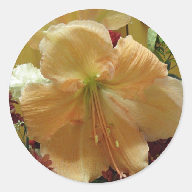 Redonda Pegatina de Lirio Rosa Bouquet (Anverso)