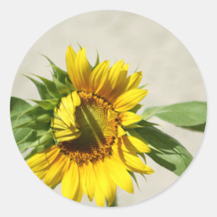 Redonda Pegatina de llamadas de Wakeup