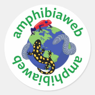 Redonda pegatina de logotipo de anfibio