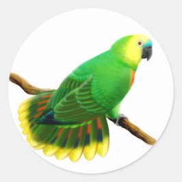 Redonda Pegatina de loro de Amazon con frontis azul