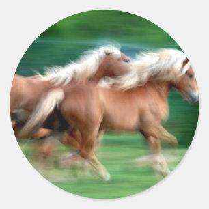 Redonda Pegatina de los caballos del Palomino de las
