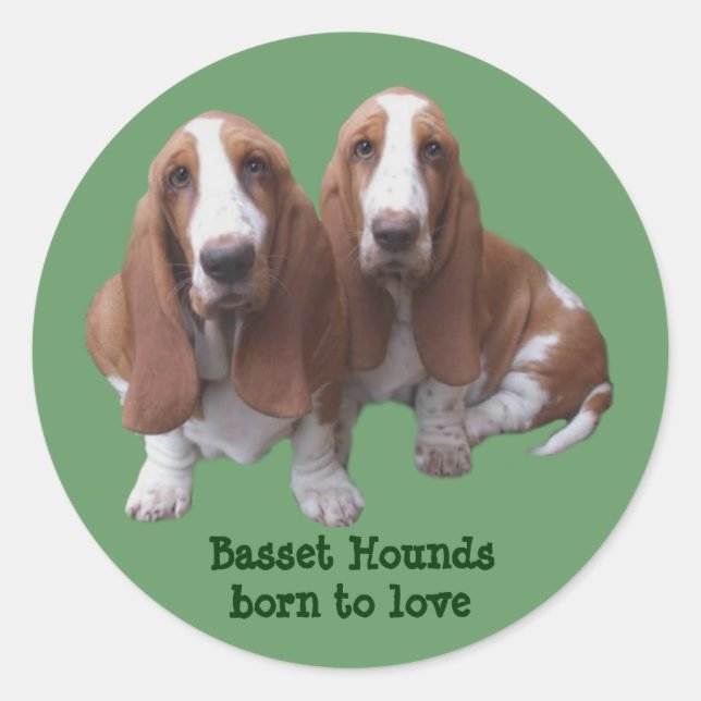 Redonda Pegatina de los compinches de Basset Hound (Anverso)