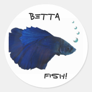 Redonda Pegatina de los pescados de Betta
