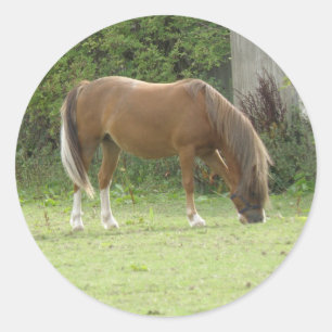Redonda Pegatina de manitas de caballo marrón castaño