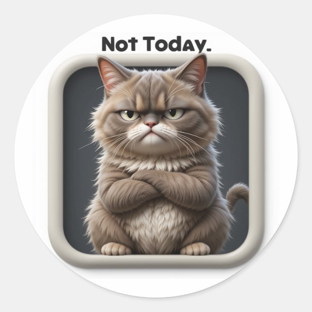 Redonda Pegatina de manualidades de Grumpy Cat "No hoy" –  (Anverso)