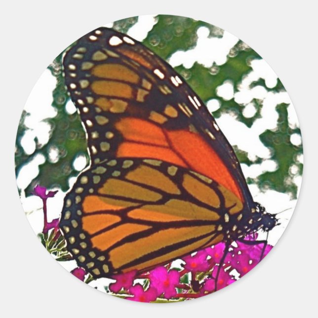 Redonda Pegatina de mariposa (Anverso)