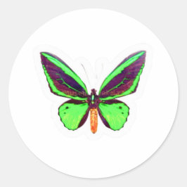 Redonda Pegatina de mariposa majestuosa verde lima - Ala c