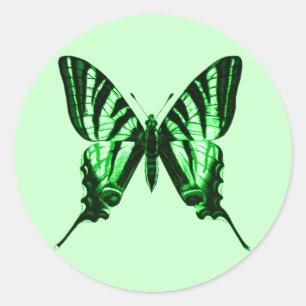 Redonda Pegatina de mariposa verde