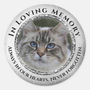 Redonda Pegatina de memoria de amor por la foto Gato / Mas