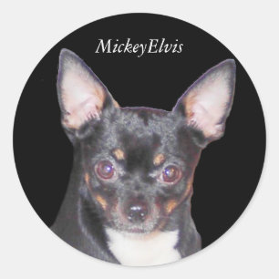 Redonda Pegatina de MickeyElvis de la chihuahua