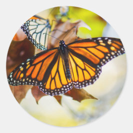 Redonda Pegatina de monarca brillante