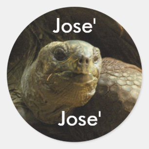 Redonda pegatina de nombre: Jose'