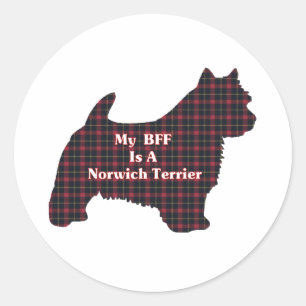 Redonda Pegatina de Norwich Terrier BFF
