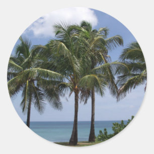 Redonda Pegatina de Palm Trees