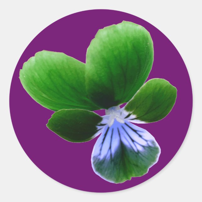 Redonda Pegatina de Pansy Verde (Anverso)