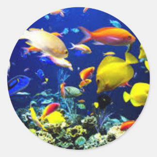 Redonda Pegatina de peces