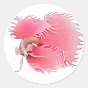 Redonda Pegatina de peces de Betta Splendens