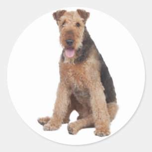 Redonda Pegatina de perro cachorro Airedale Terrier de amo