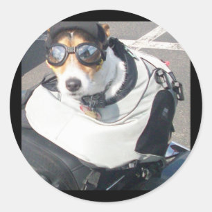 Redonda Pegatina de Perro de Hog